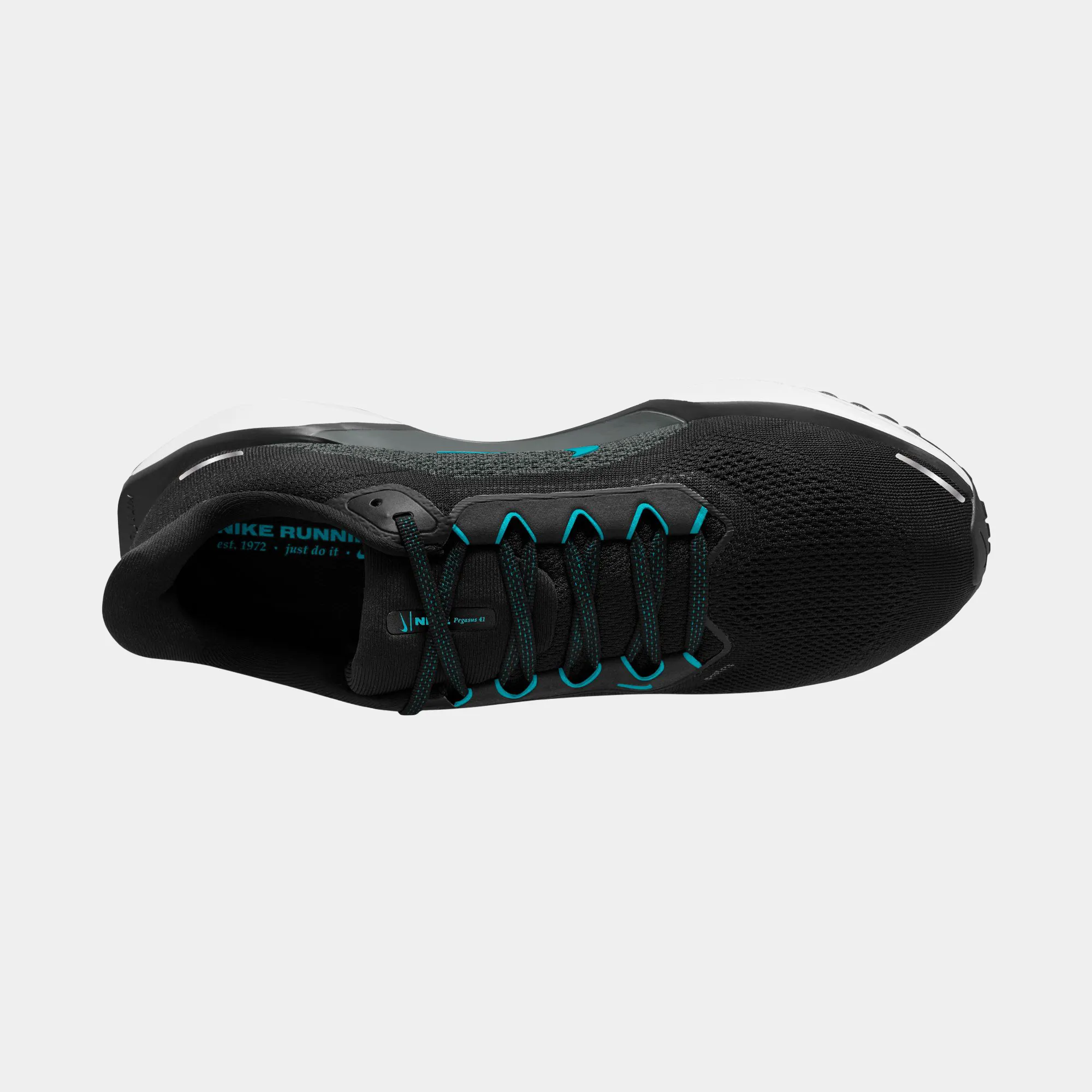 Air Zoom Pegasus 41