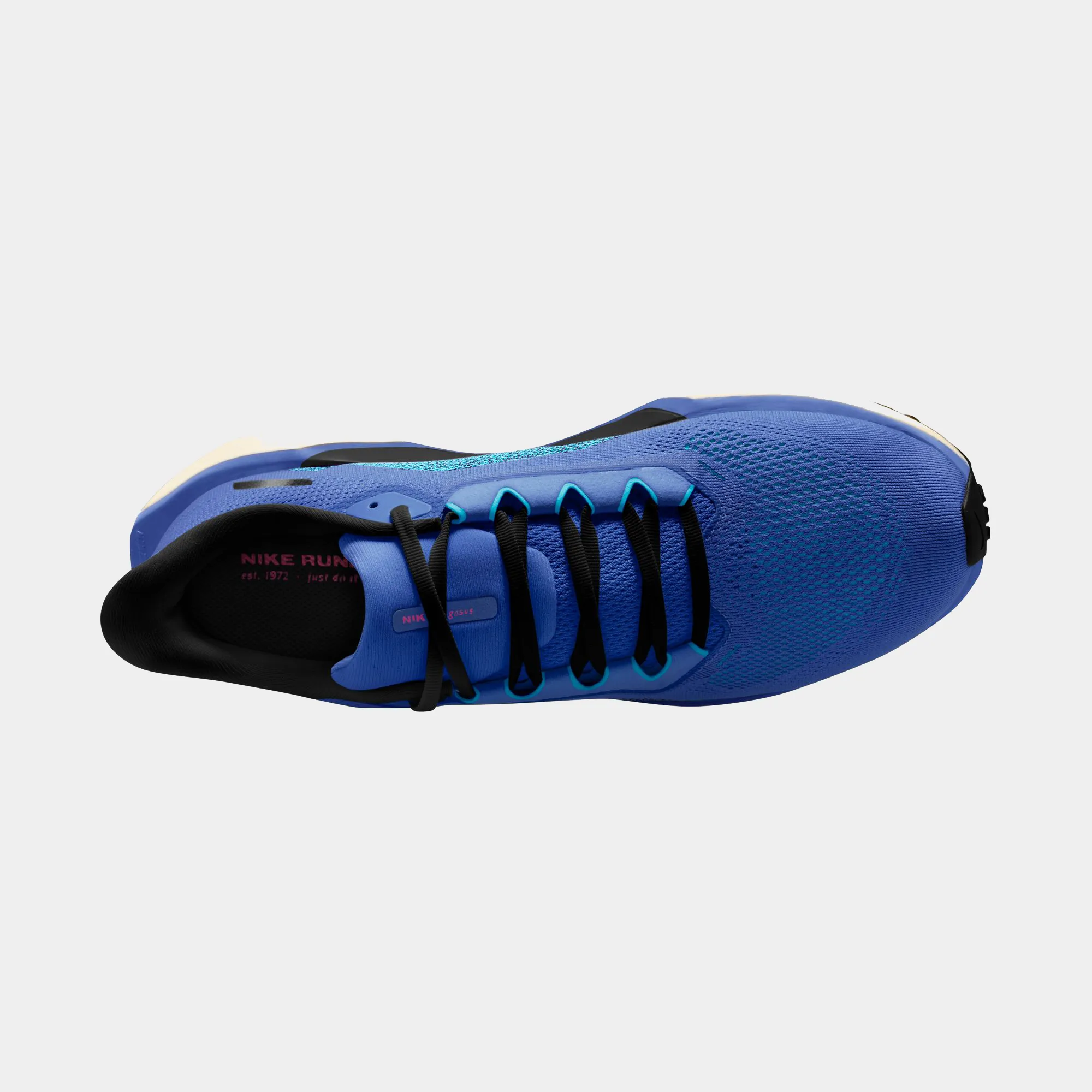 Air Zoom Pegasus 41