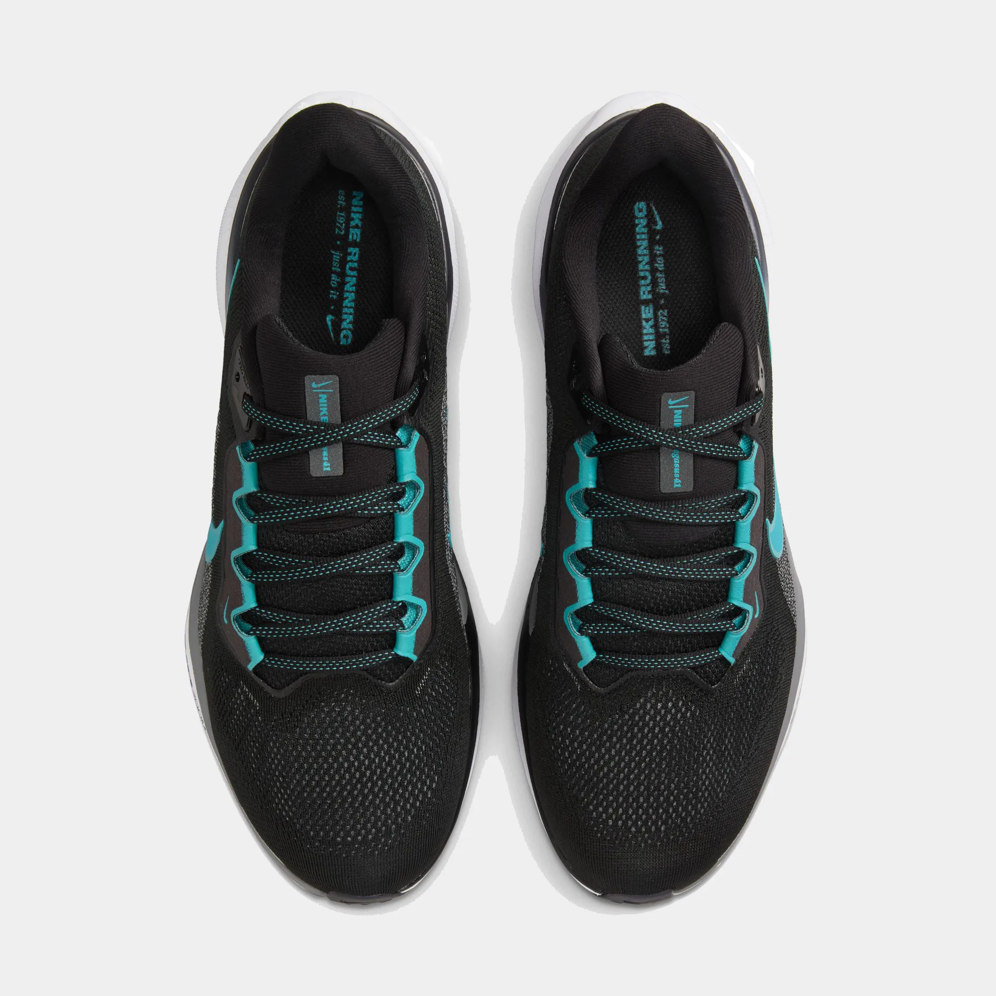 Air Zoom Pegasus 41