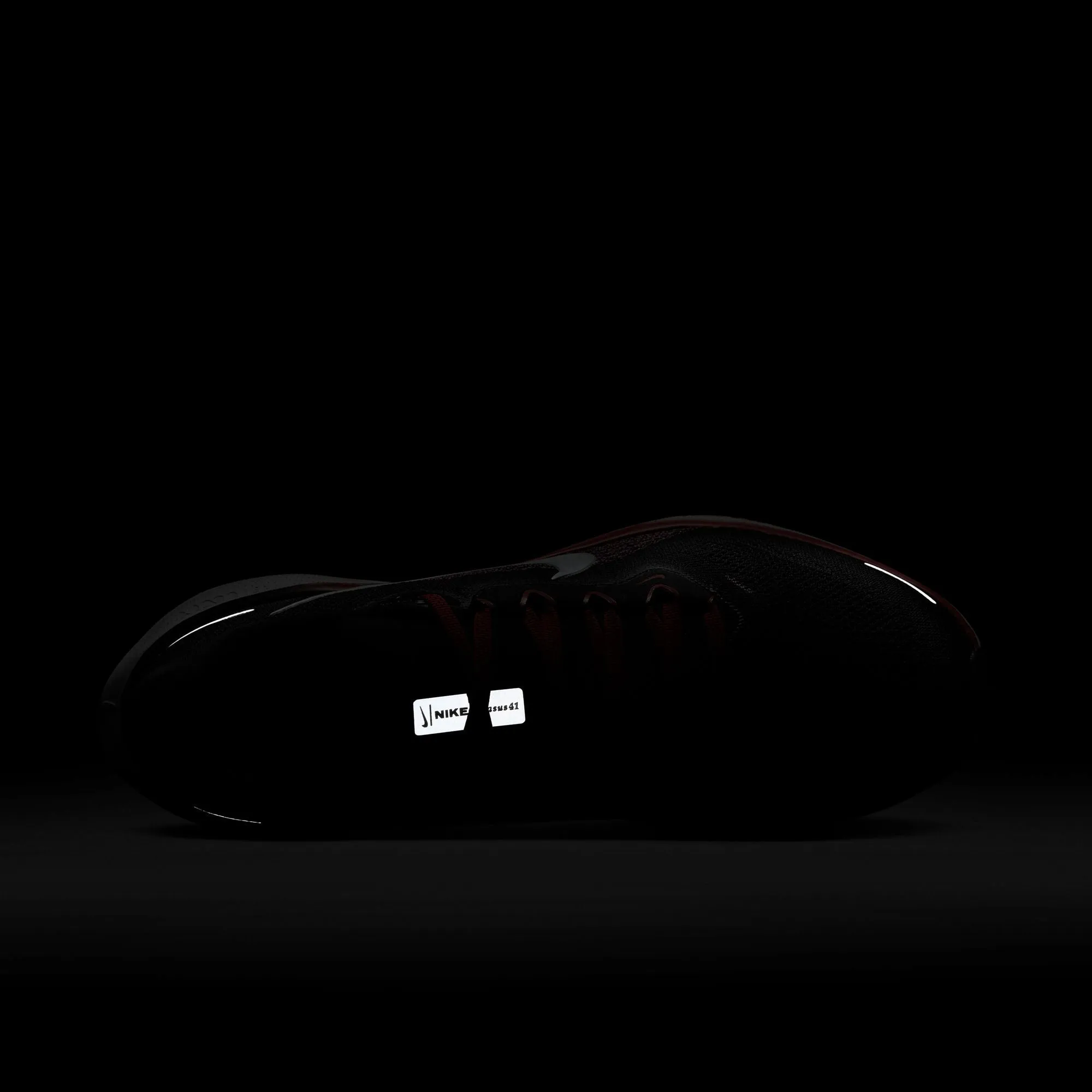 Air Zoom Pegasus 41