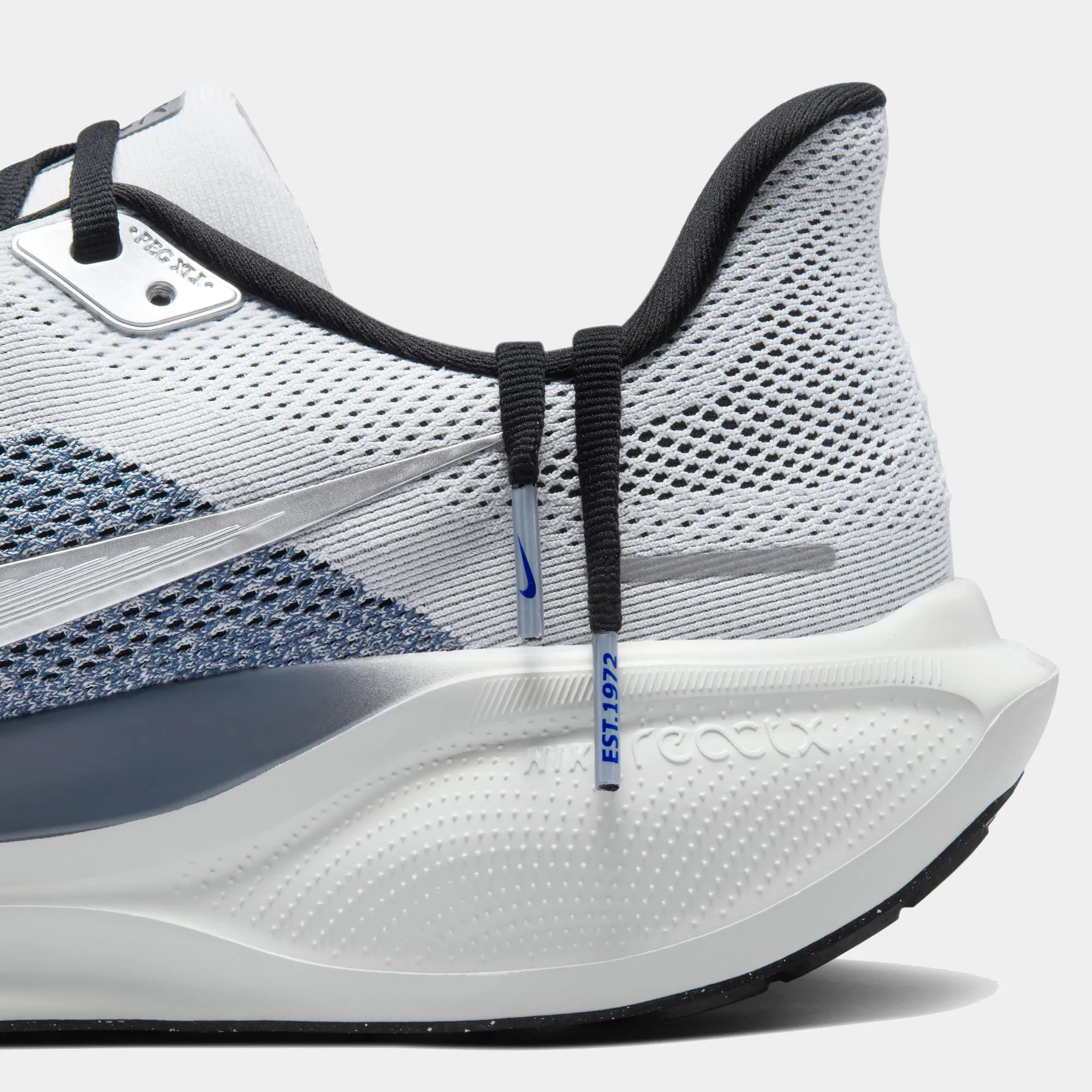 Air Zoom Pegasus 41