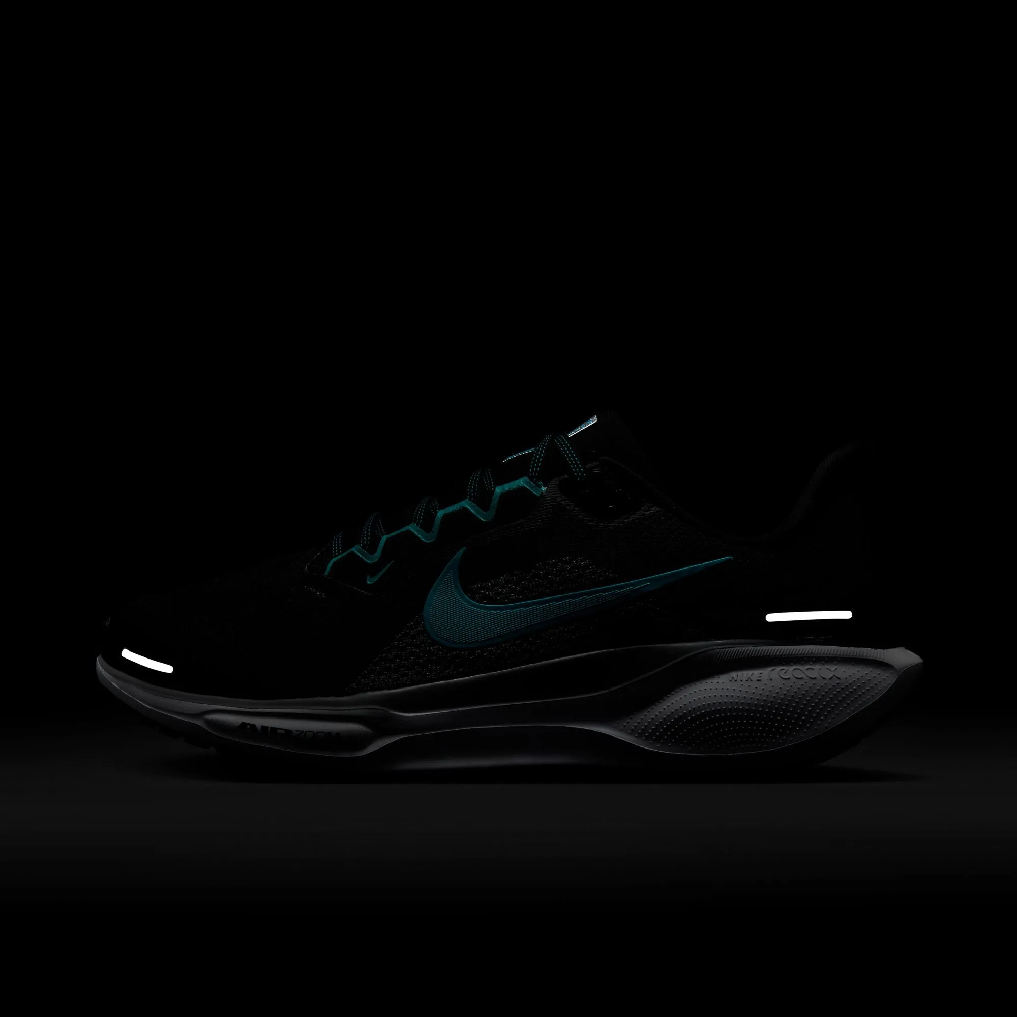 Air Zoom Pegasus 41