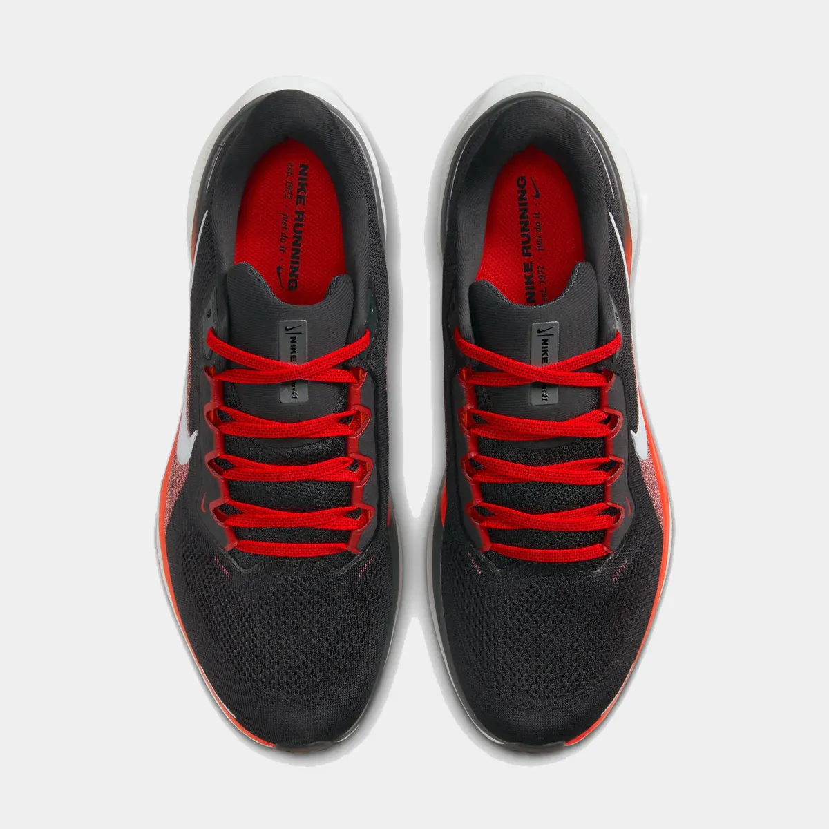 Air Zoom Pegasus 41
