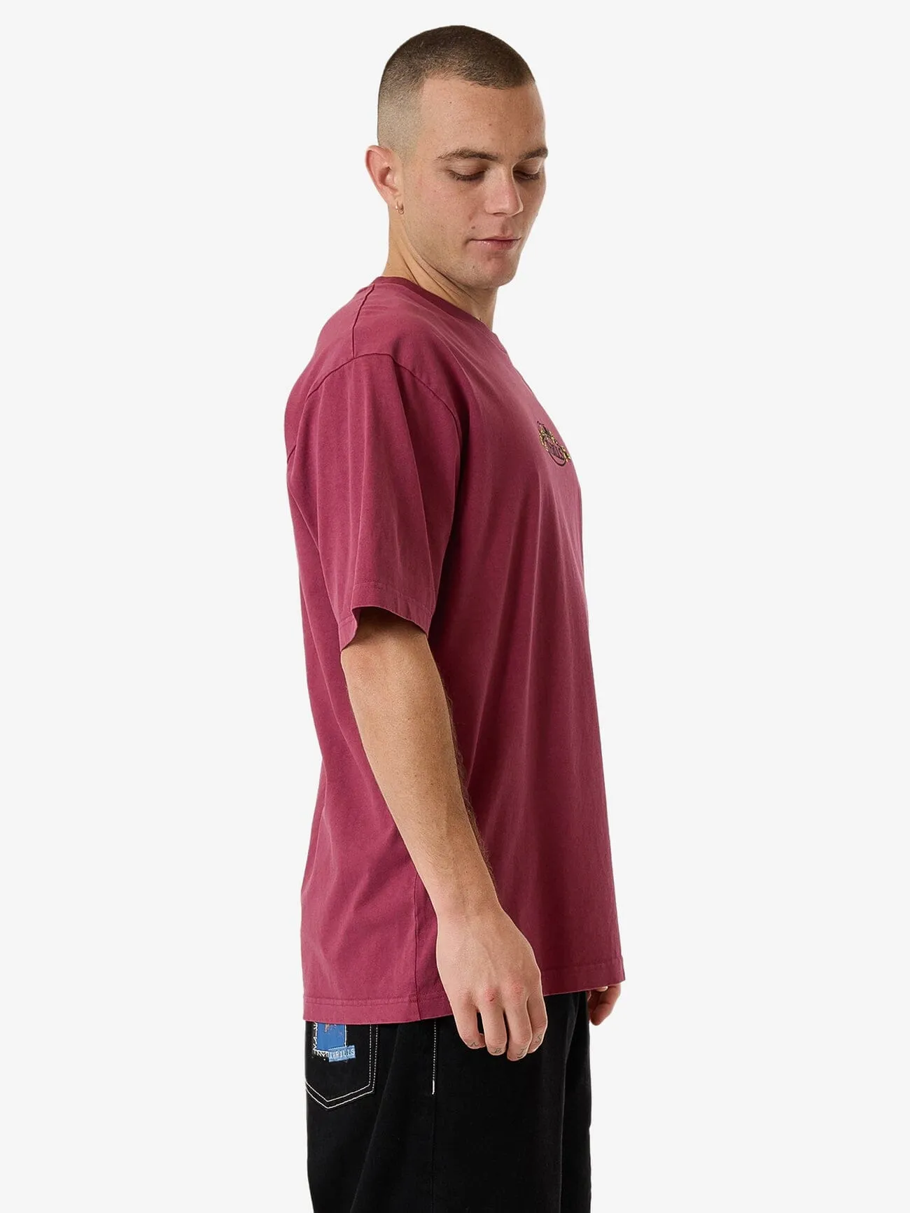 Deadly Garden Oversize Fit Tee - Hawthorn Rose