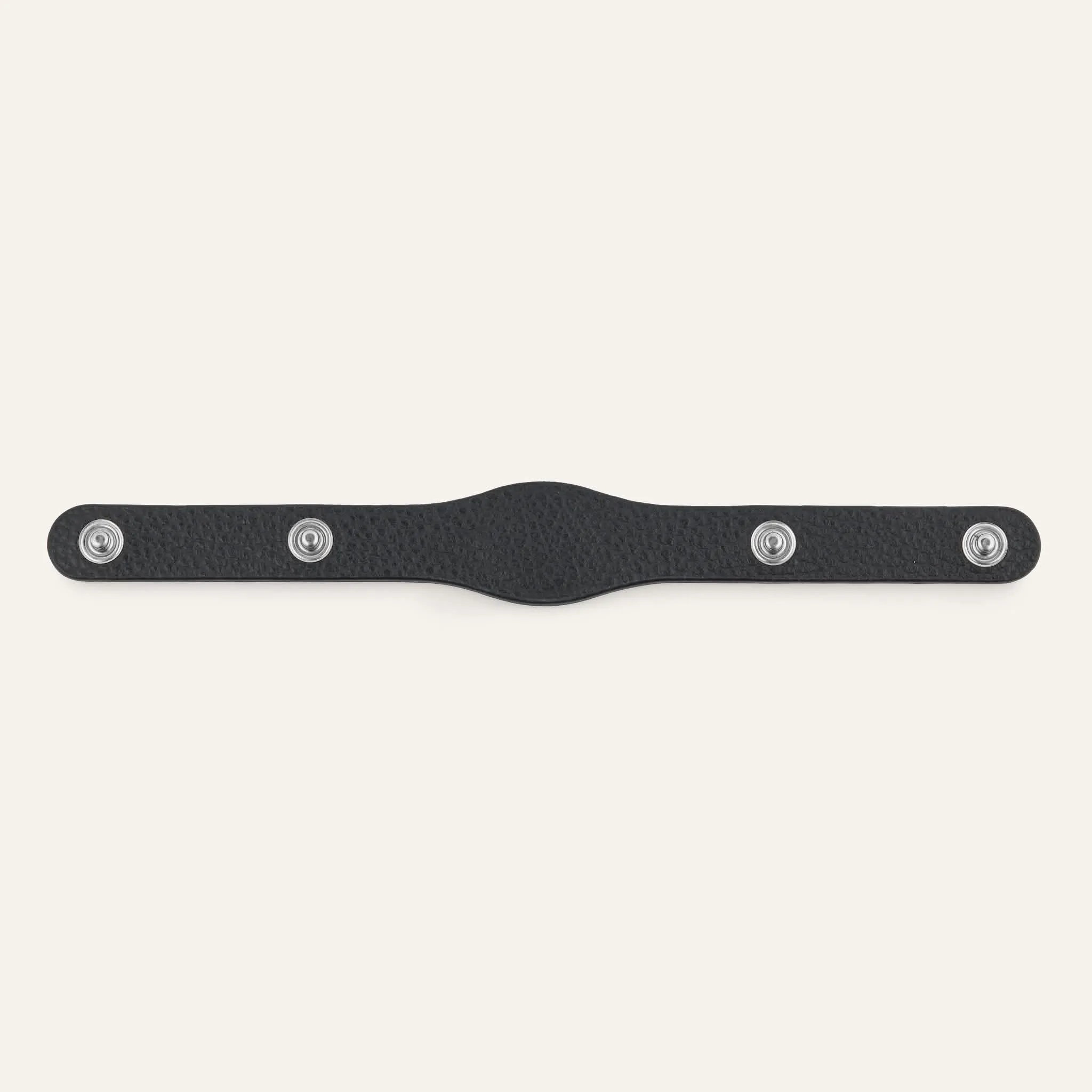 Deco Logo | Dalmatian with Silver hardware