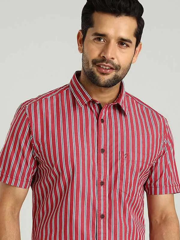 Men Striped Half Sleeve Cotton Shirt