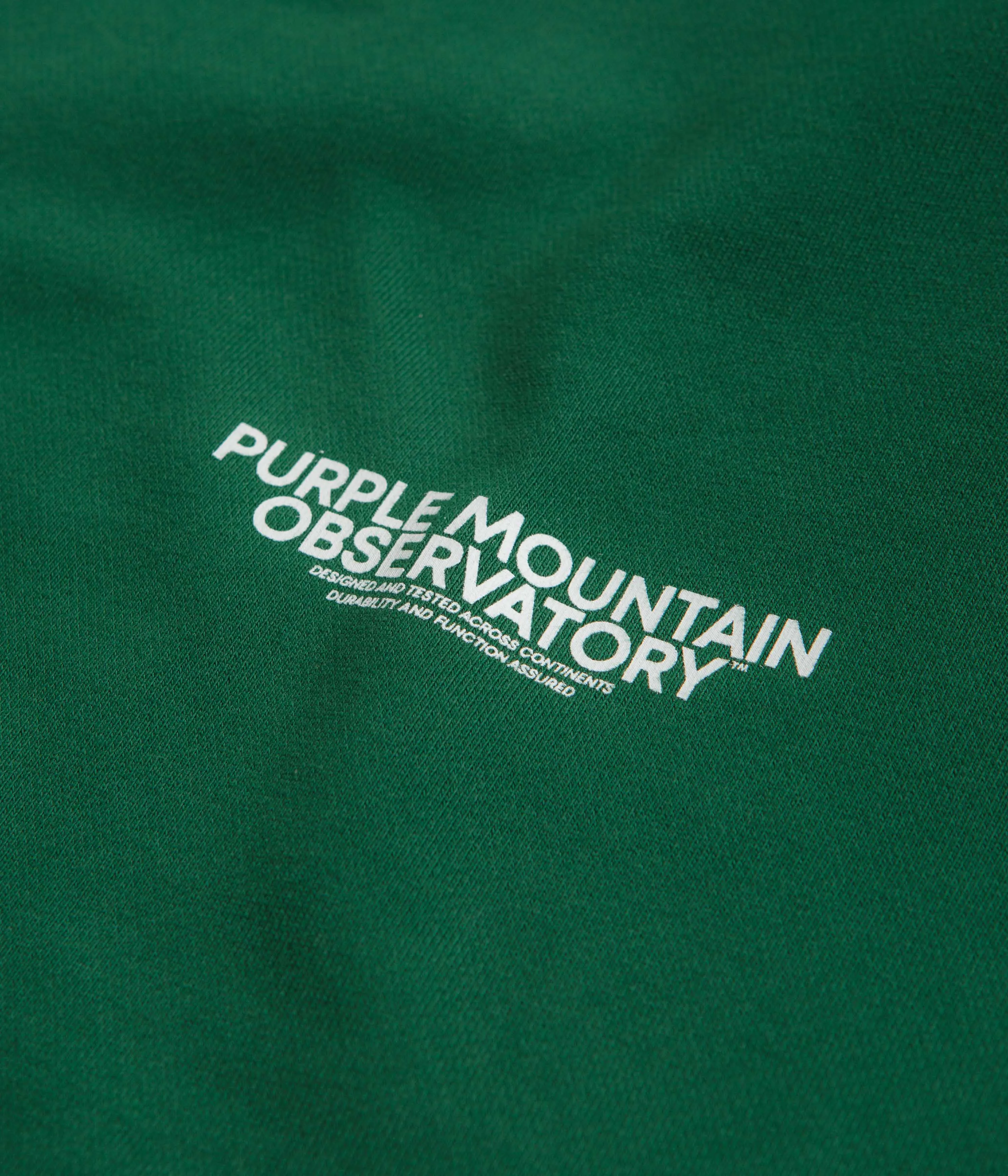 Purple Mountain Observatory Core Logo Hoodie - Eden