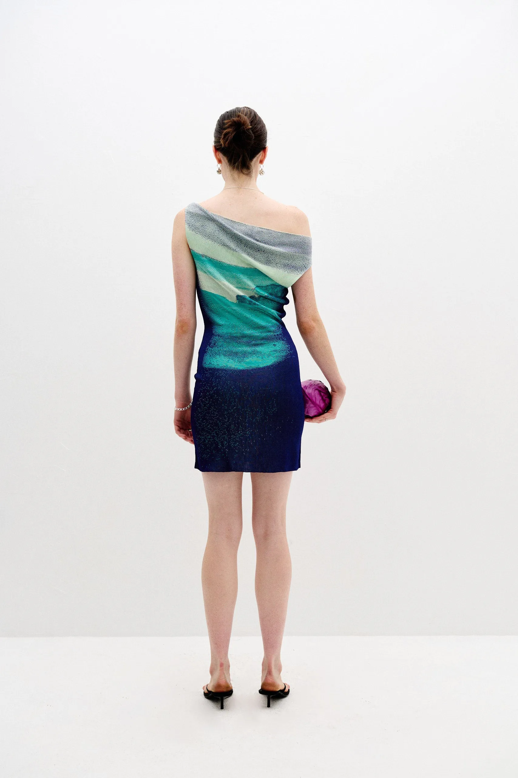 SALVIA LAKE PRINT MINI DRESS