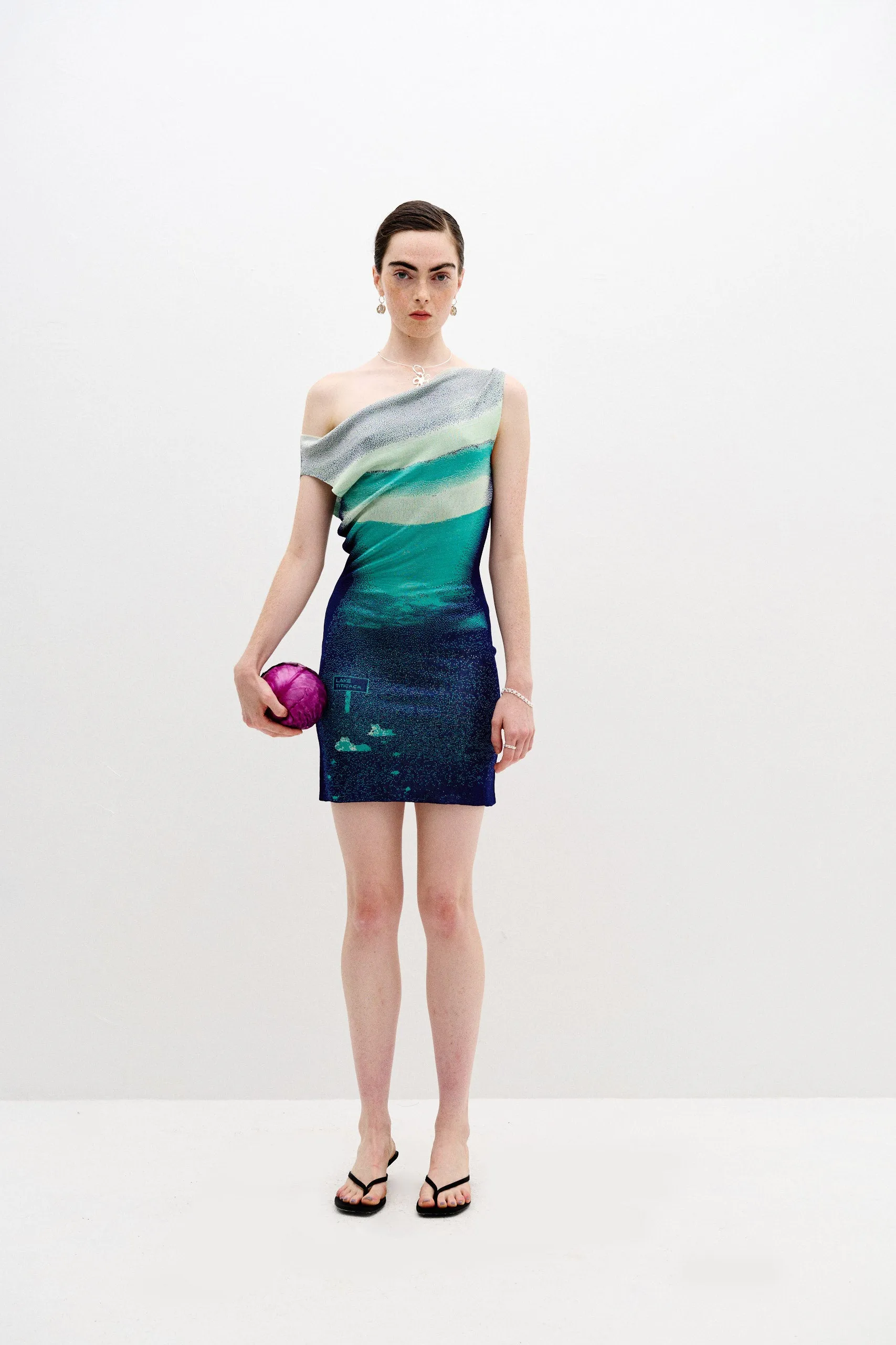 SALVIA LAKE PRINT MINI DRESS